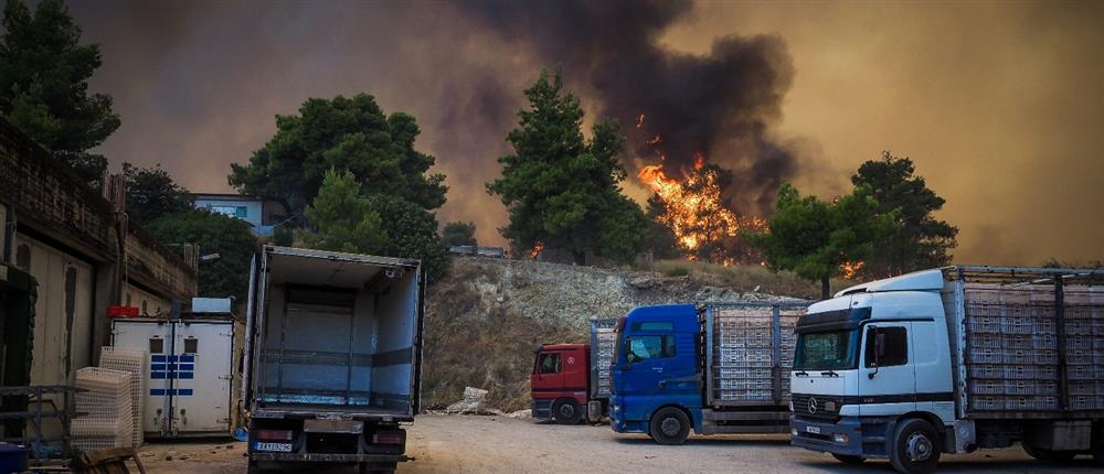 Φωτιά - Εύβοια Φωτιά - Εύβοια