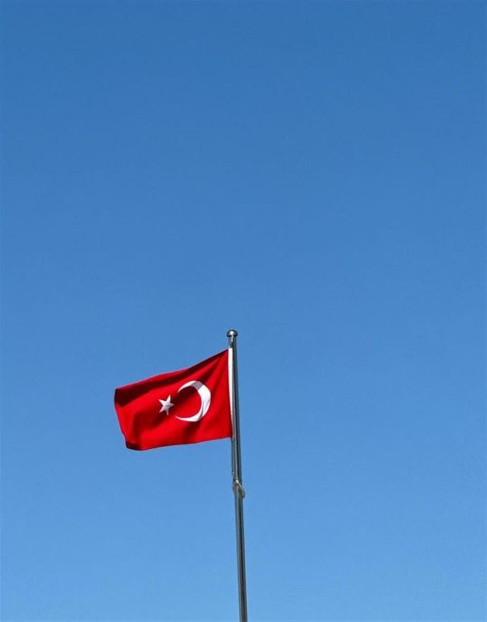 τούνη τούνη