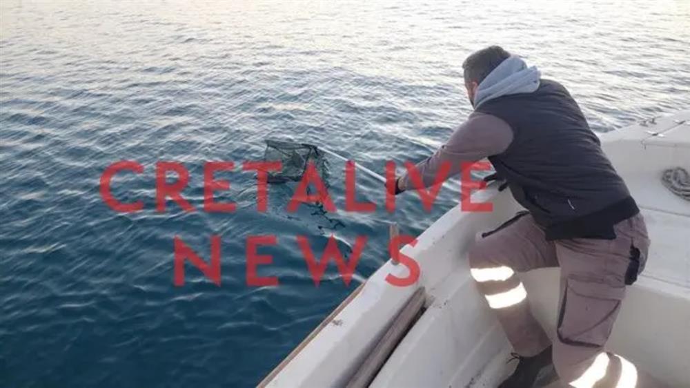 Ηράκλειο - Ποντίκια - Λιμάνι Ηράκλειο - Ποντίκια - Λιμάνι