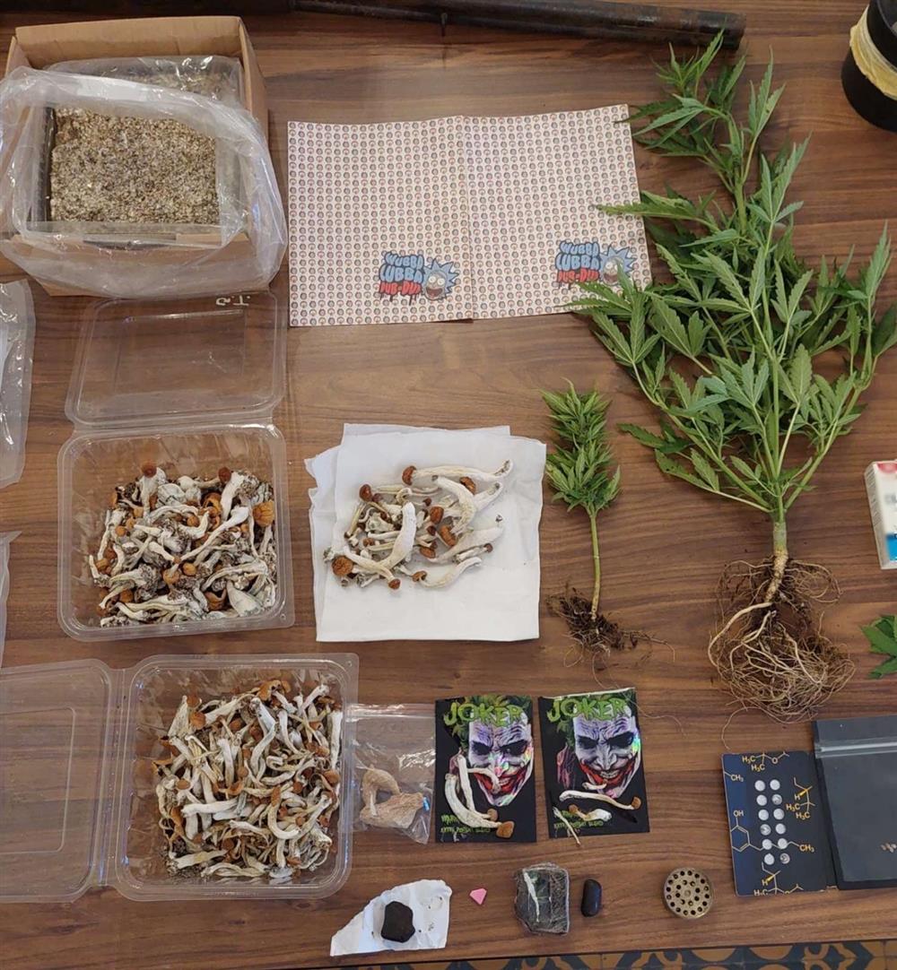 Ναρκωτικά - σπείρα - ειδικός φρουρός Ναρκωτικά - σπείρα - ειδικός φρουρός