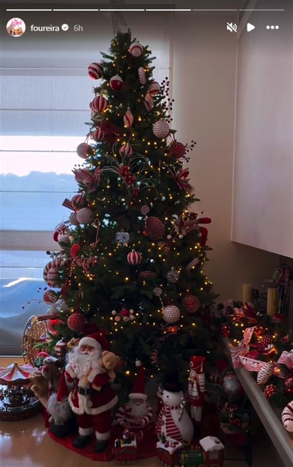 φουρέιρα φουρέιρα