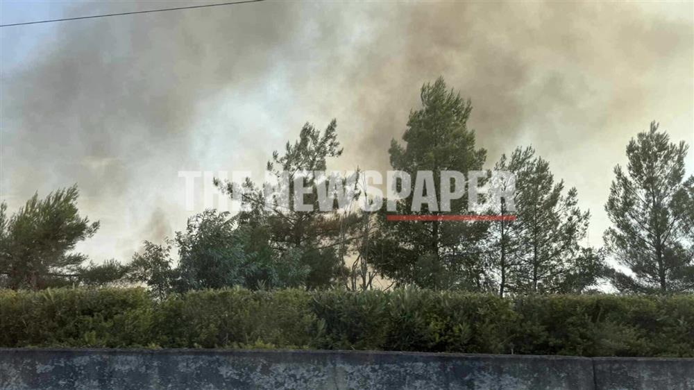 Βόλος - διόδια - φωτιά Βόλος - διόδια - φωτιά