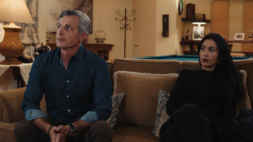 Η Γη της Ελιάς