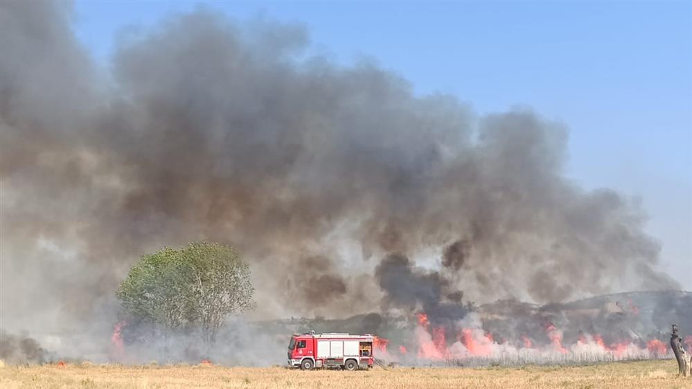 Φωτιά - Κιλκίς Φωτιά - Κιλκίς
