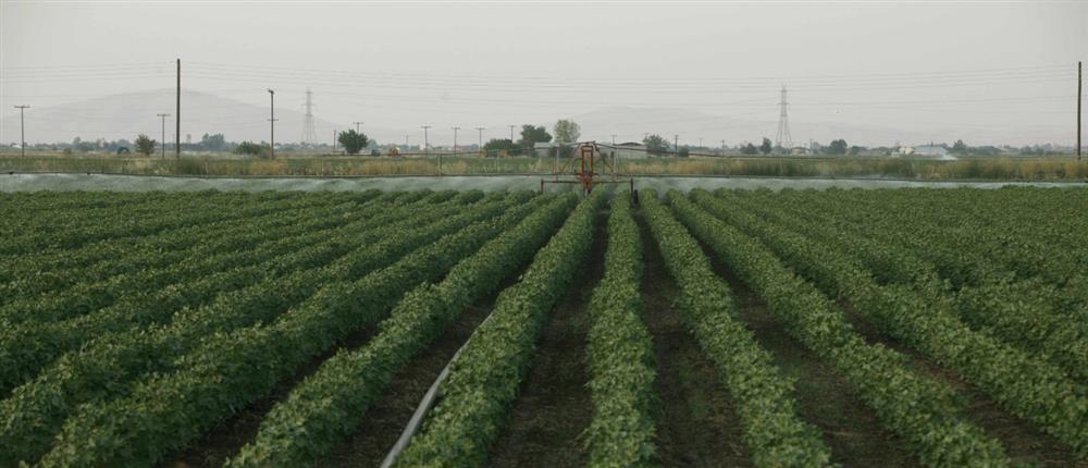 Αγρότες - Καλλιέργειες - Χωράφια - τρακτέρ Αγρότες - Καλλιέργειες - Χωράφια - τρακτέρ