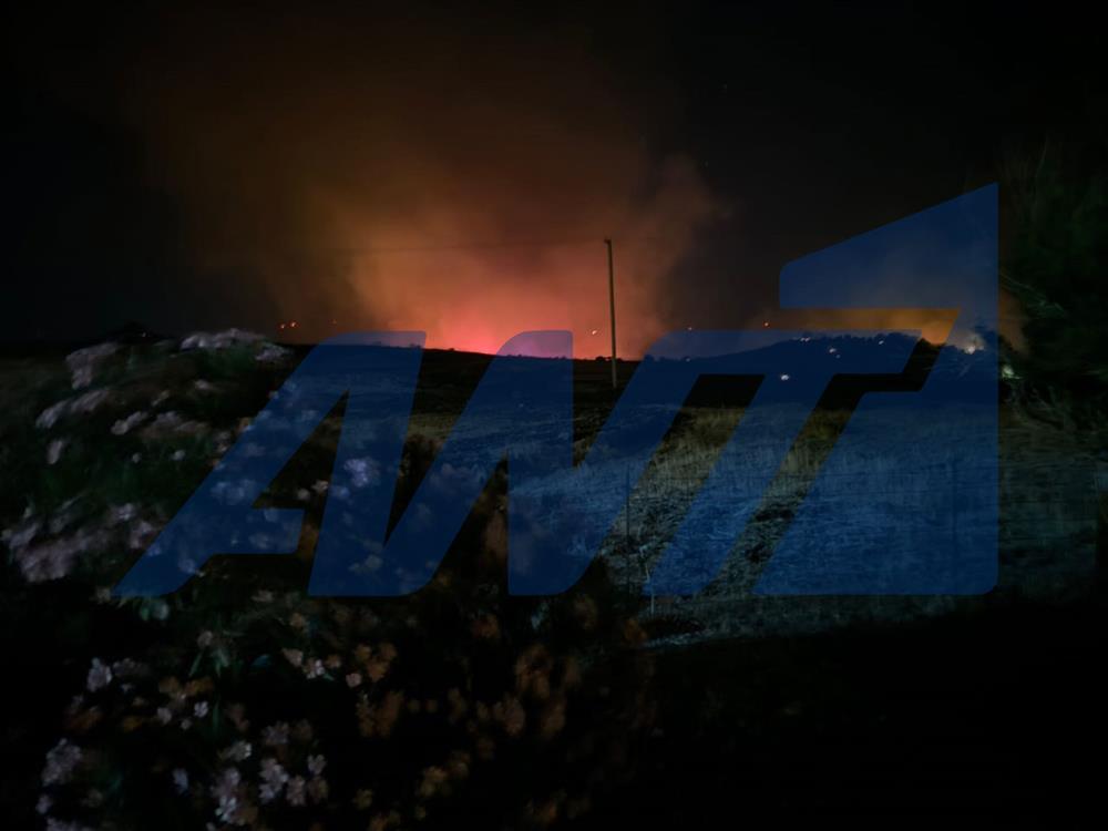 Φωτιά Μεσοχώρια Εύβοιας