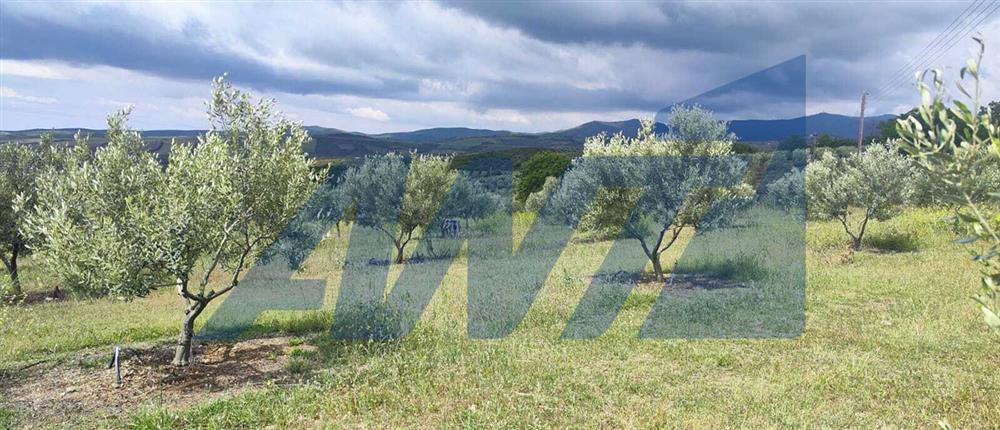 Χαλκιδική: Καταστροφικό χαλάζι στα Βράσταμα