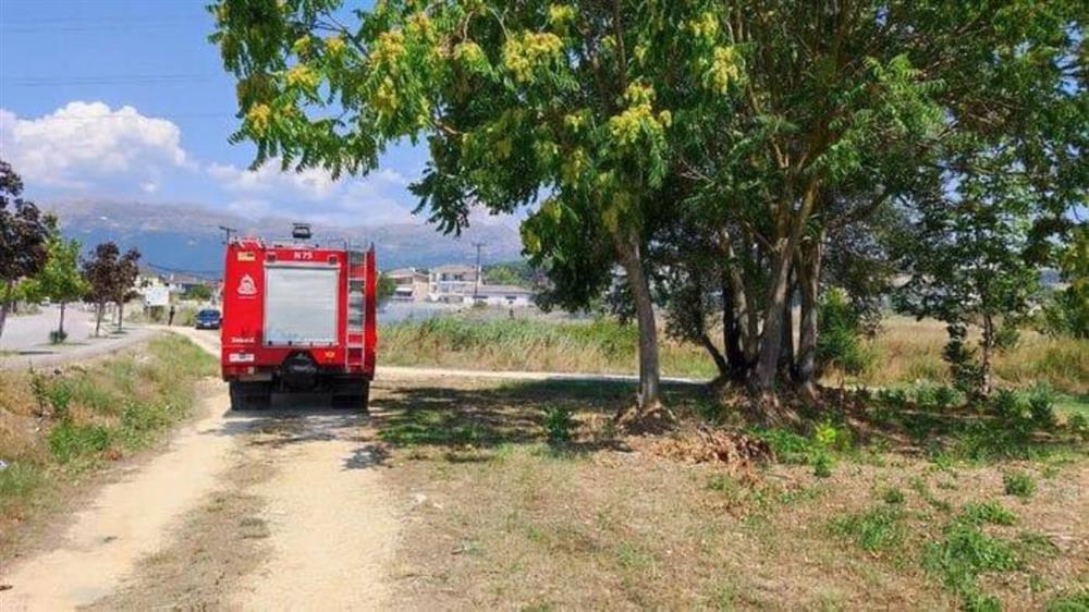 φωτια γιαννενα φωτια γιαννενα