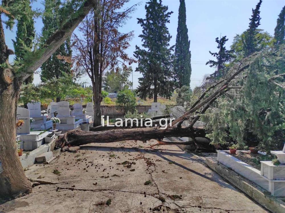 Λαμία - νεκροταφίο - κακοκαιρία Λαμία - νεκροταφίο - κακοκαιρία