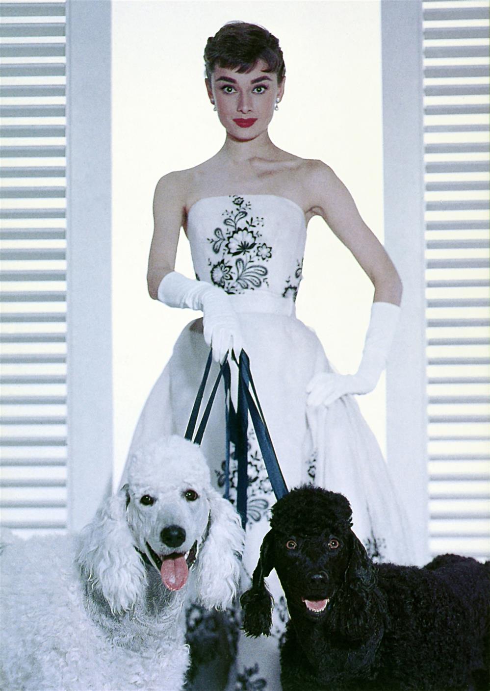 Ιβάνκα Τραμπ Ιβάνκα Τραμπ