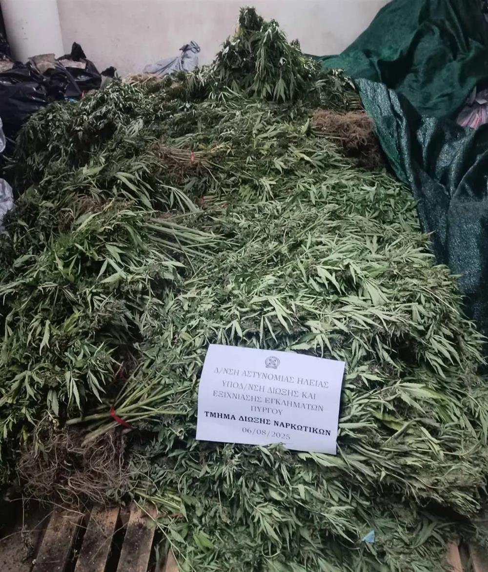 ΑΙΤΩΛΟΑΚΑΡΝΑΝΙΑ - ΝΑΡΚΩΤΙΚΑ ΑΙΤΩΛΟΑΚΑΡΝΑΝΙΑ - ΝΑΡΚΩΤΙΚΑ