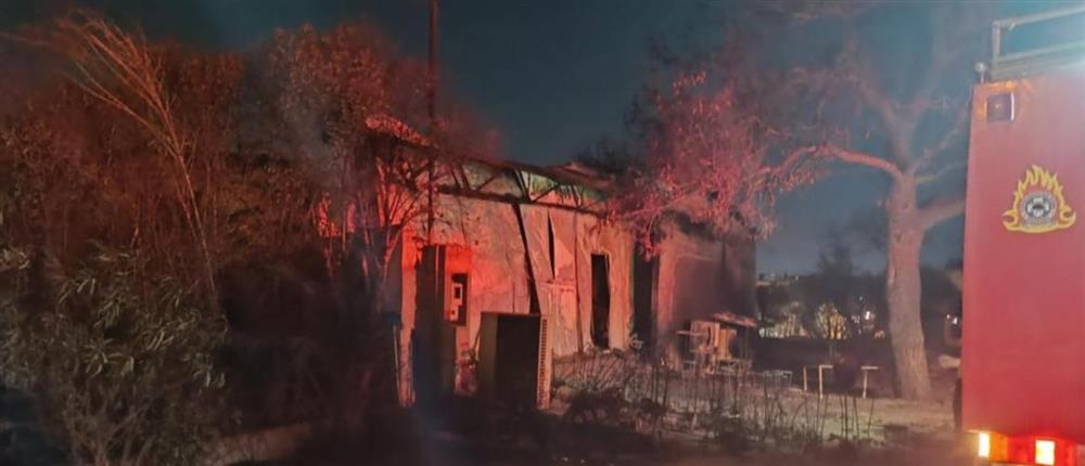 Φωτιά - Πάτημα Χαλανδρίου Φωτιά - Πάτημα Χαλανδρίου