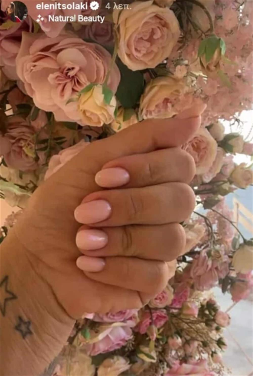 Ελένη Τσολάκη Ελένη Τσολάκη