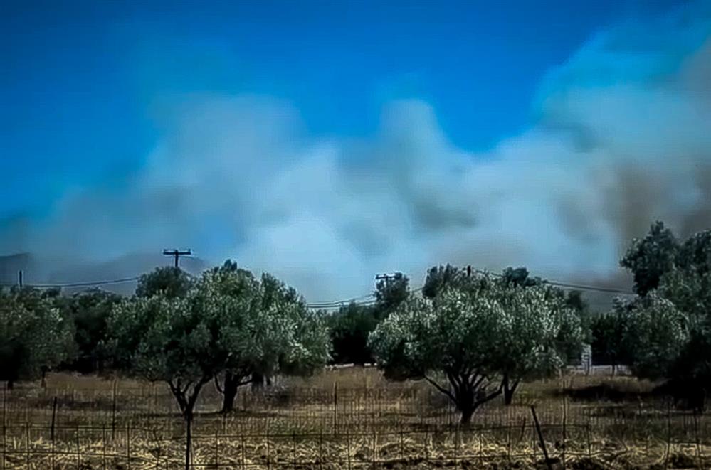 Φωτιά - Αλιβέρι Φωτιά - Αλιβέρι