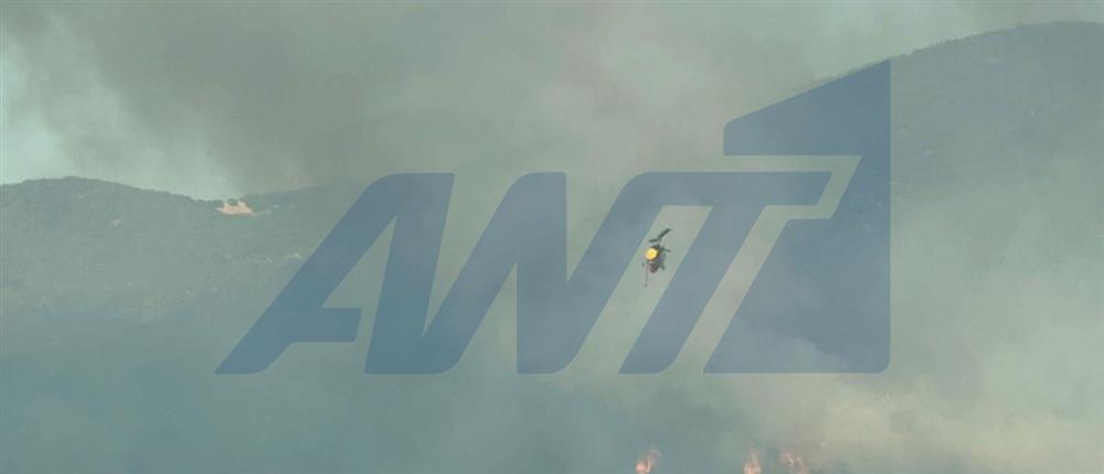 Θεσσαλονίκη: Φωτιά στην Μεγάλη Βόλβη Θεσσαλονίκη: Φωτιά στην Μεγάλη Βόλβη