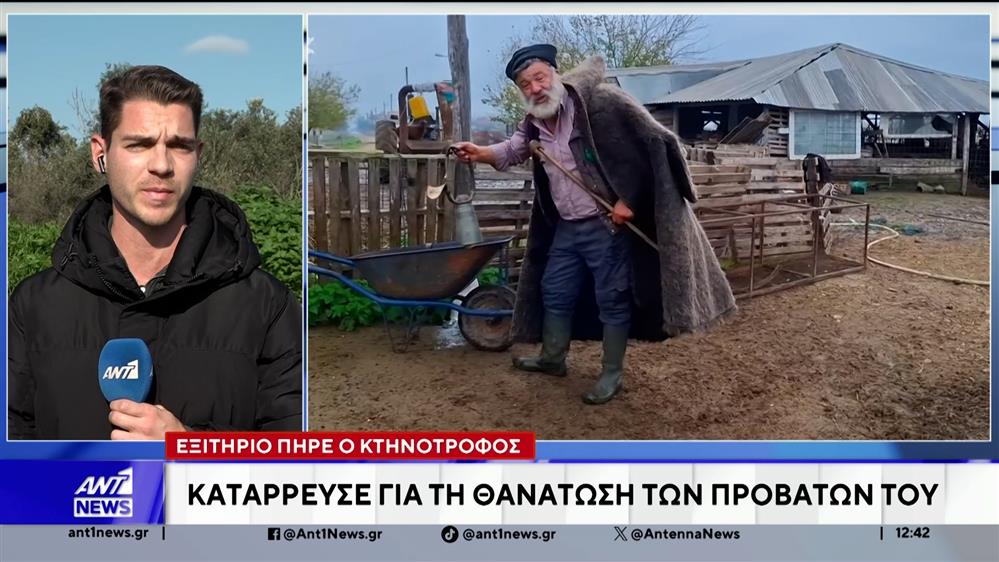 Θεσσαλονίκη: Εξιτήριο πήρε ο κτηνοτρόφος που έχασε το κοπάδι του λόγω ευλογιάς 
