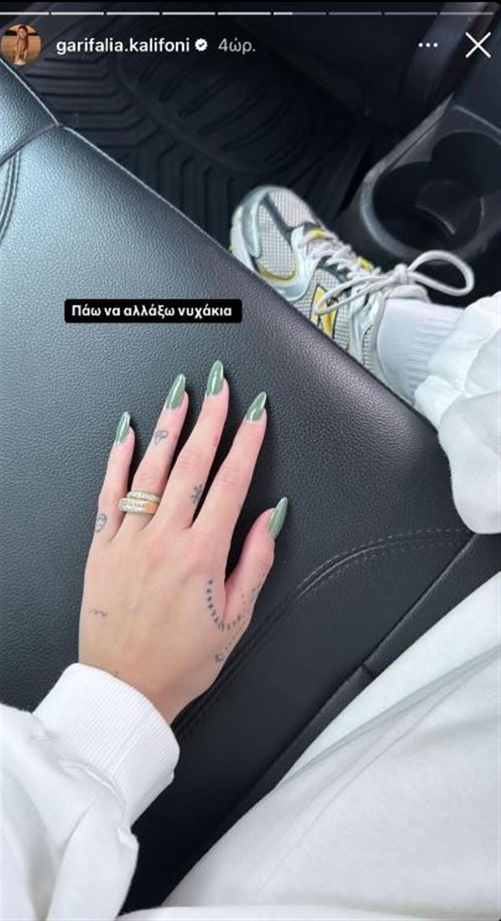 γαριφαλια γαριφαλια