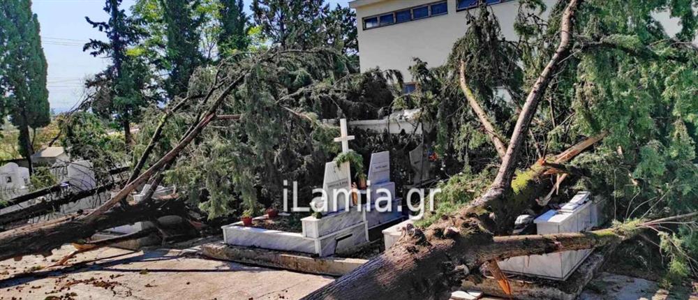 Λαμία - νεκροταφίο - κακοκαιρία Λαμία - νεκροταφίο - κακοκαιρία