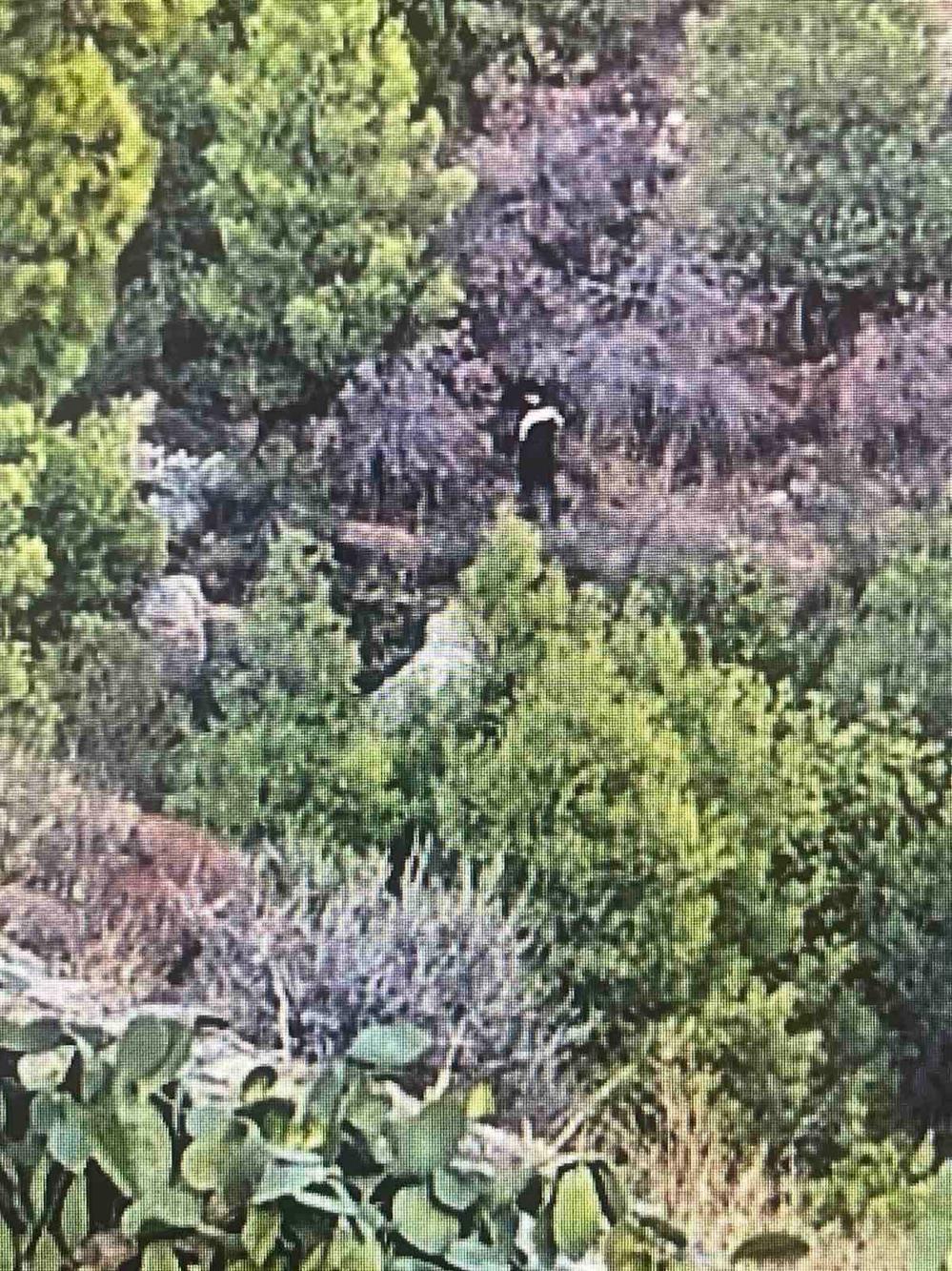 Υμμητός:Σύλληψη εμπρηστή επιδειξία Υμμητός:Σύλληψη εμπρηστή επιδειξία