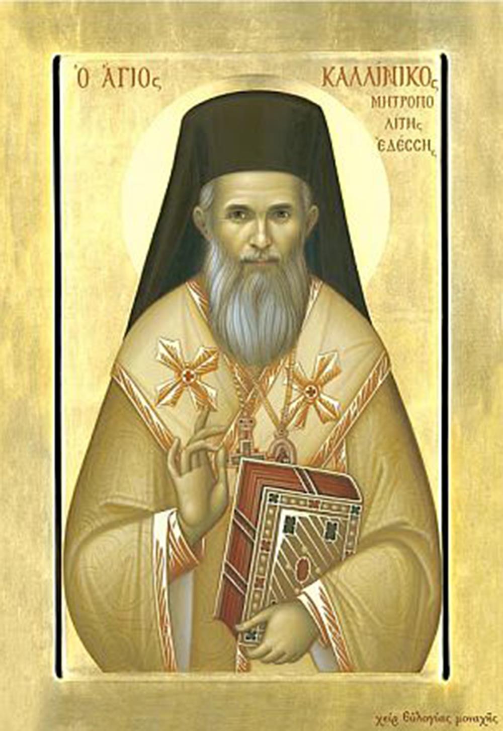 Μητροπολίτης Εδέσσης, Πέλλης καί Αλμωπίας Καλλίνικος - Δημήτριος Πούλος