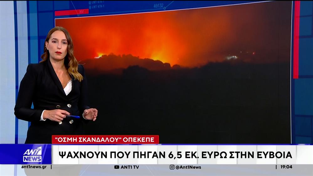 "Οσμή σκανδάλου" ΟΠΕΚΕΠΕ στην Εύβοια: Ψάχνουν πού πήγαν 6,5 εκατ. Ευρώ