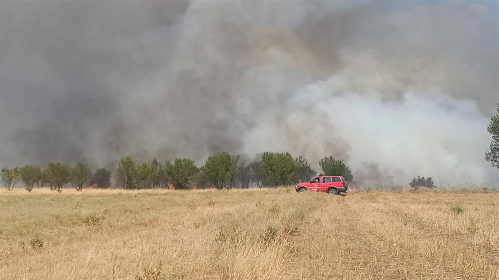 Φωτιά - Κιλκίς Φωτιά - Κιλκίς