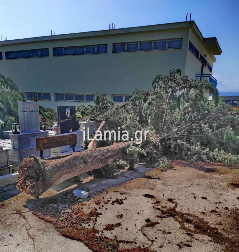 Λαμία - νεκροταφίο - κακοκαιρία Λαμία - νεκροταφίο - κακοκαιρία