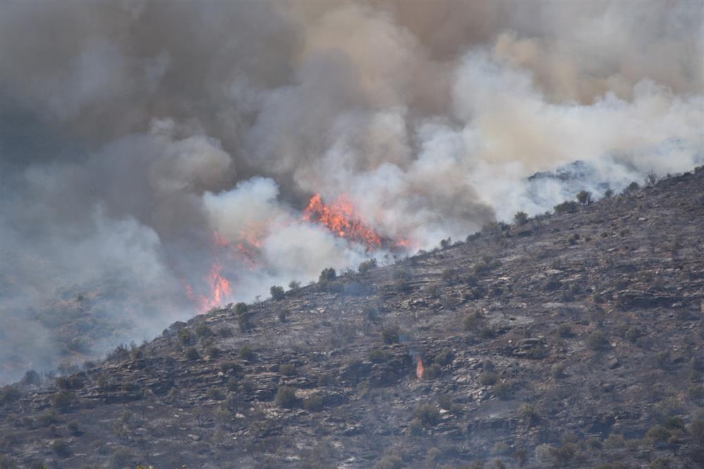 Λάρισα - φωτιά Λάρισα - φωτιά