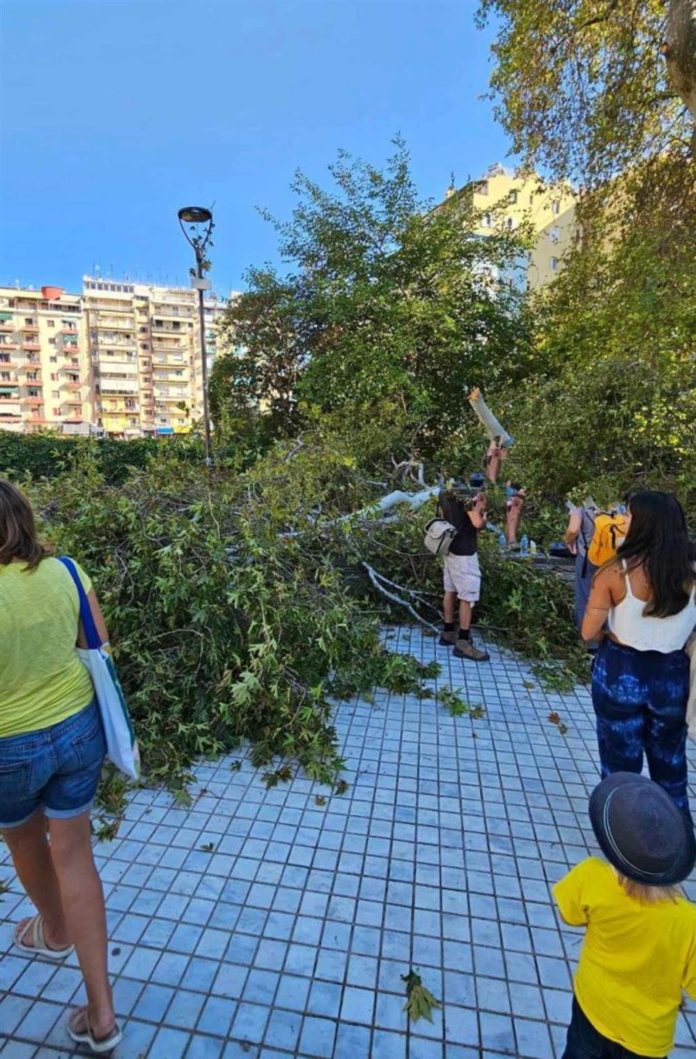 Κλαδί - Θεσσαλονίκη - τραυματισμός Κλαδί - Θεσσαλονίκη - τραυματισμός