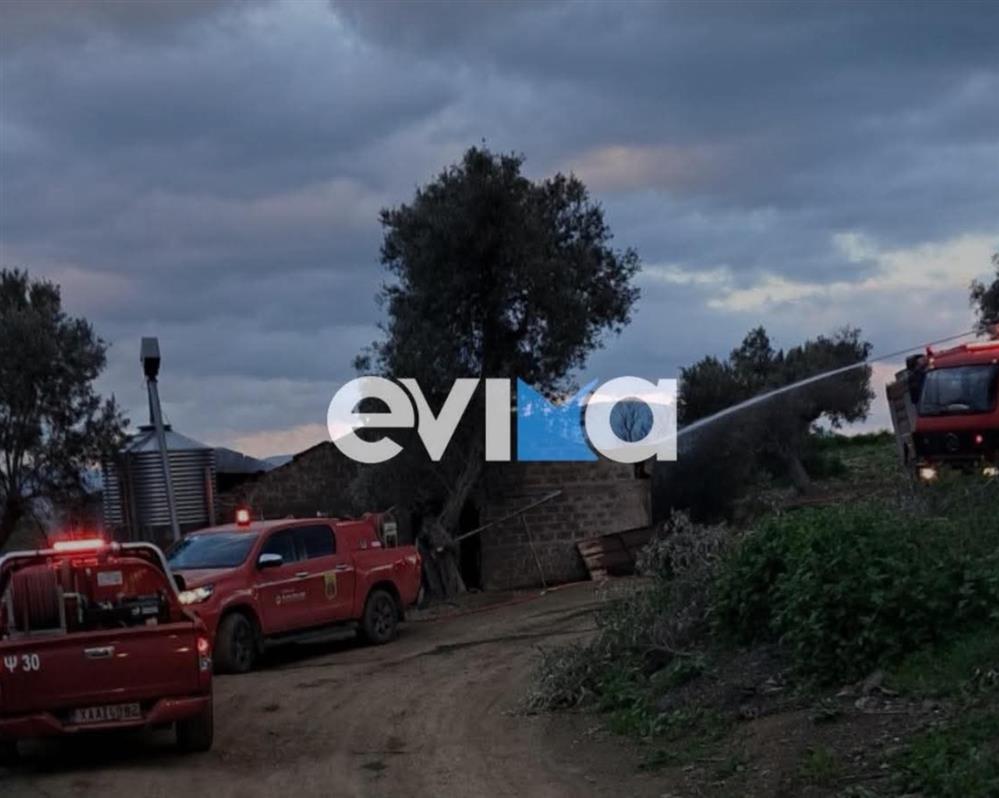 Εύβοια -Φωτιά - Χοιροστάσιο Εύβοια -Φωτιά - Χοιροστάσιο