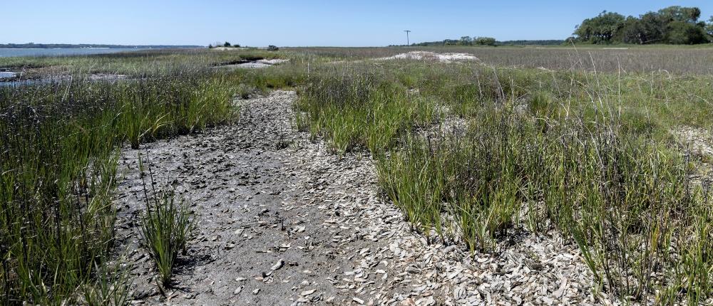 AP - κλιματική αλλαγή - ξηρασία