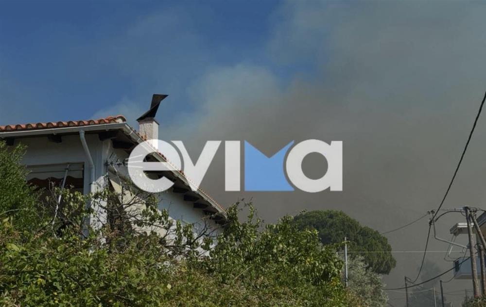 Φωτιά - Παναγιά - Εύβοια Φωτιά - Παναγιά - Εύβοια