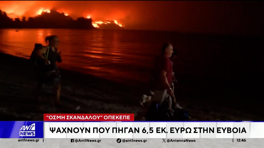 Έρευνα με οσμή… νέου ΟΠΕΚΕΠΕ συγκλονίζει την Εύβοια