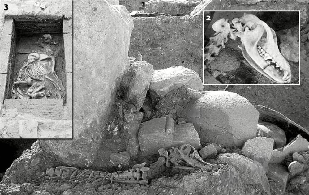 Παγκόσμια Ημέρα των Ζώων