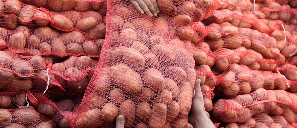 Πατάτες Πατάτες