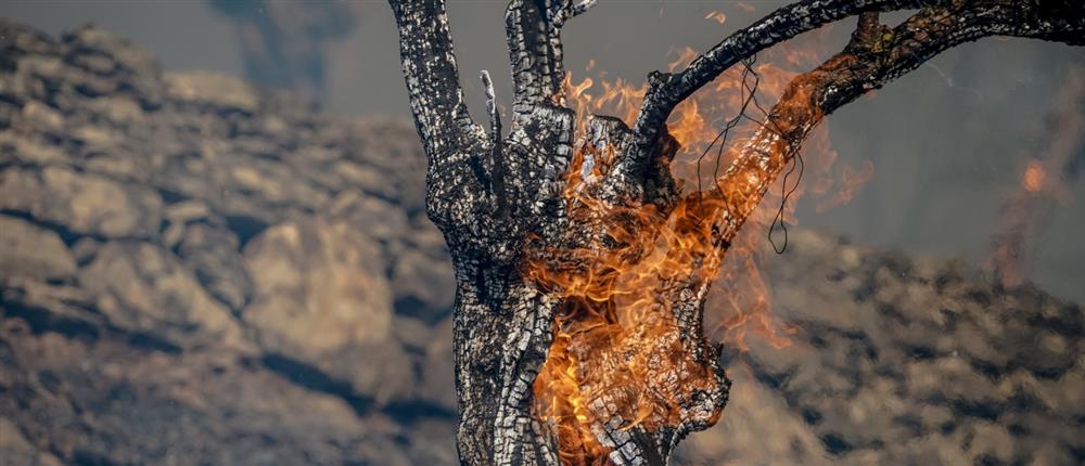 Φωτια στη Μορια Φωτια στη Μορια