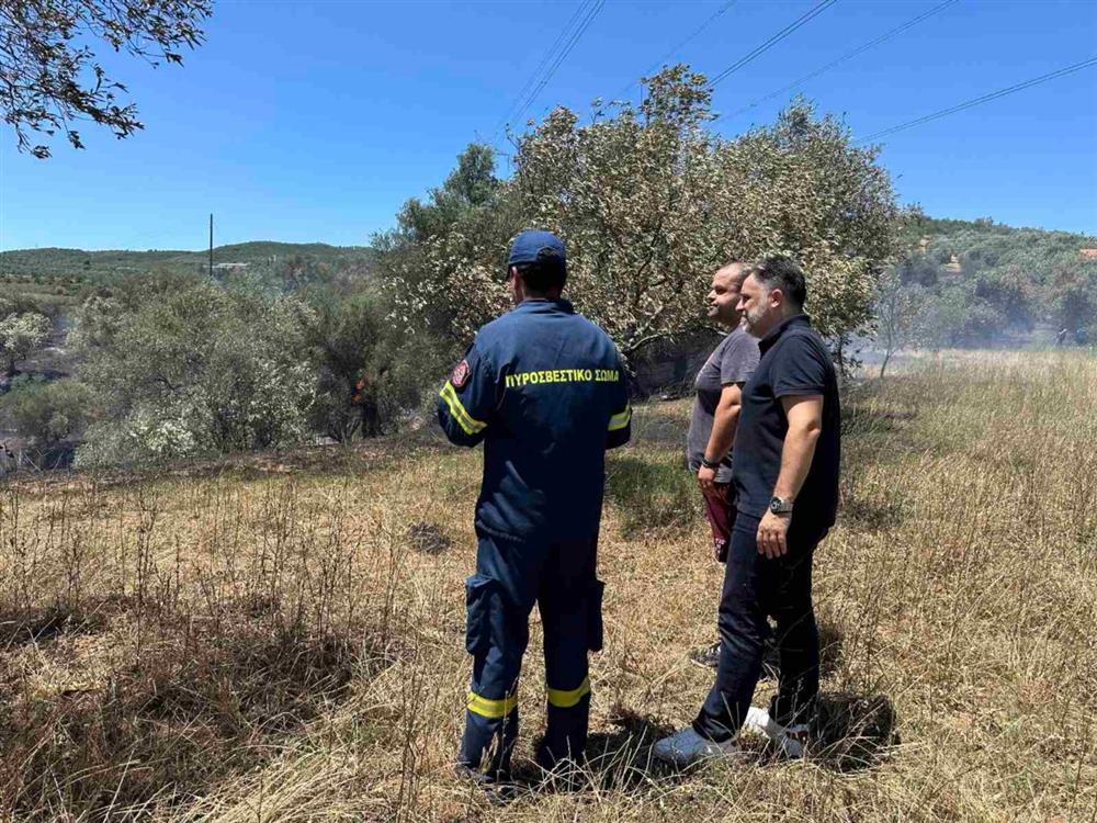 Φωτια - Πυροσβεστικη - Δασος Φωτια - Πυροσβεστικη - Δασος