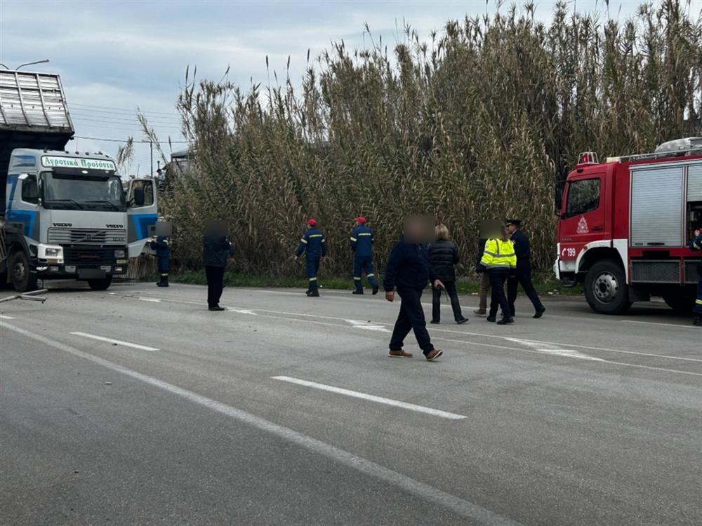 ΑΓΡΙΝΙΟ - ΝΤΑΛΙΚΑ