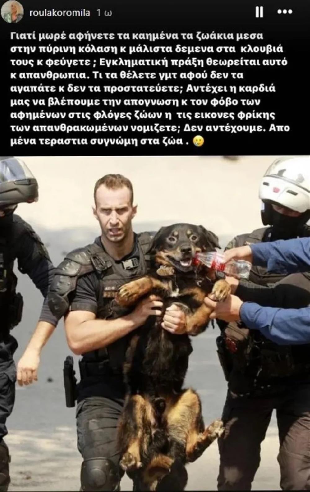 κορομηλά κορομηλά