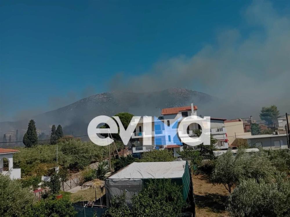 Φωτιά - Παναγιά - Εύβοια Φωτιά - Παναγιά - Εύβοια