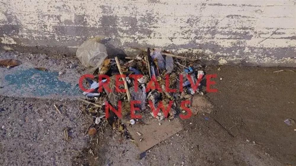 Ηράκλειο - Ποντίκια - Λιμάνι Ηράκλειο - Ποντίκια - Λιμάνι