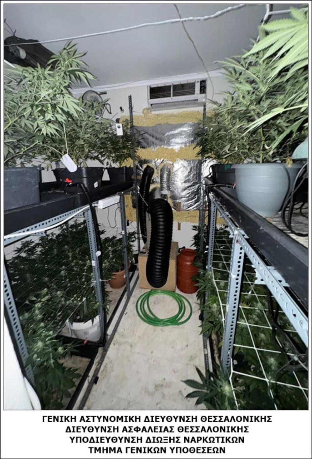 Θεσσαλονίκη - Χασίς Θεσσαλονίκη - Χασίς