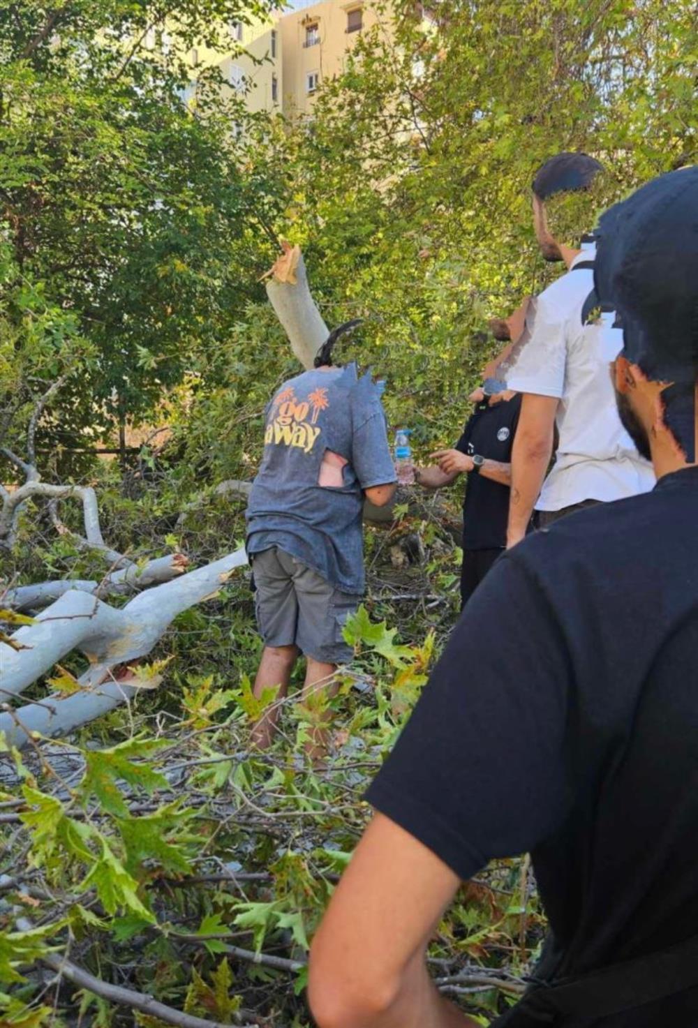 Κλαδί - Θεσσαλονίκη - τραυματισμός Κλαδί - Θεσσαλονίκη - τραυματισμός