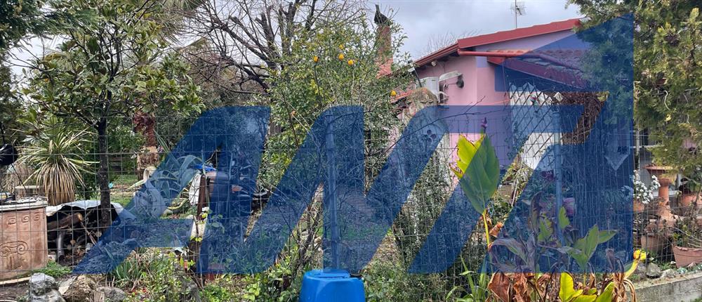 Πιερία - Στυγερό έγκλημα πίσω από την εξαφάνιση του 58χρονου Πιερία - Στυγερό έγκλημα πίσω από την εξαφάνιση του 58χρονου