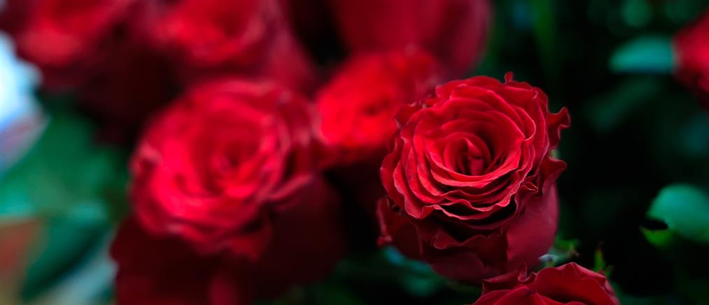 Εορτολόγιο: Ποιοι γιορτάζουν σήμερα 5 Δεκεμβρίου