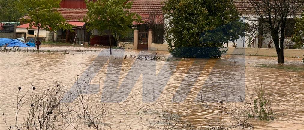 Φάρσαλα: Έκτακτη ειδοποίηση 112 για υπερχείλιση του ποταμού Ενιπέα (εικόνες)
