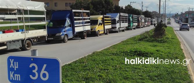 Χαλκιδική: Στήθηκε στη Νικήτη Σιθωνίας το πρώτο μπλόκο μελισσοκόμων και αγροτών μέσα στον νομό