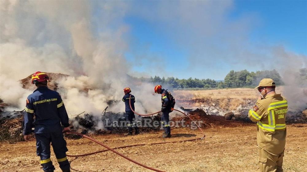 Φθιώτιδα - φωτιά - σκουπίδια