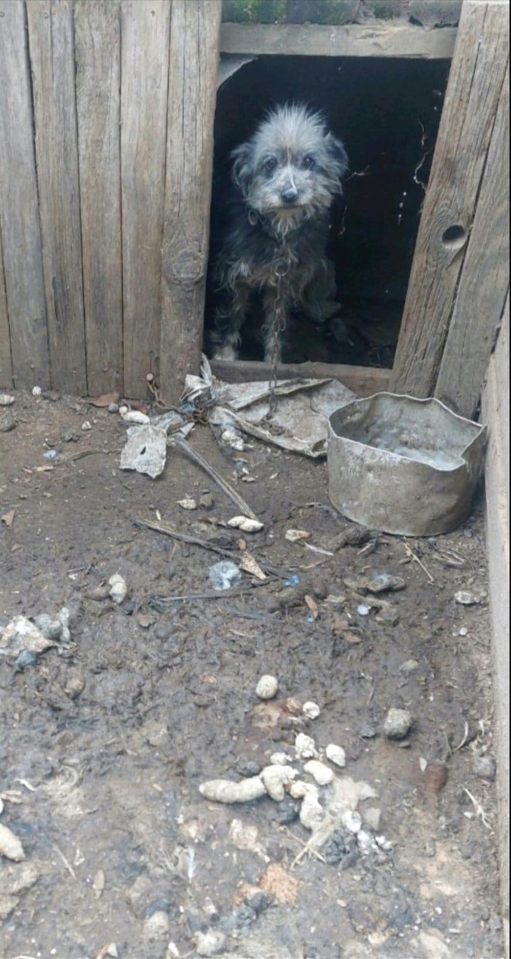 ευζωια - χανια - συλληψη