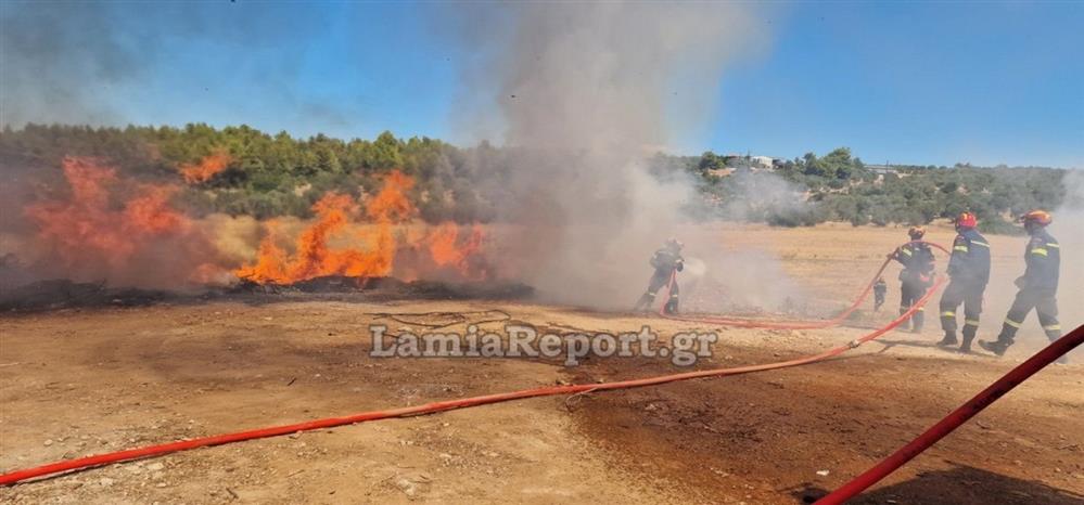 Φθιώτιδα - φωτιά - σκουπίδια
